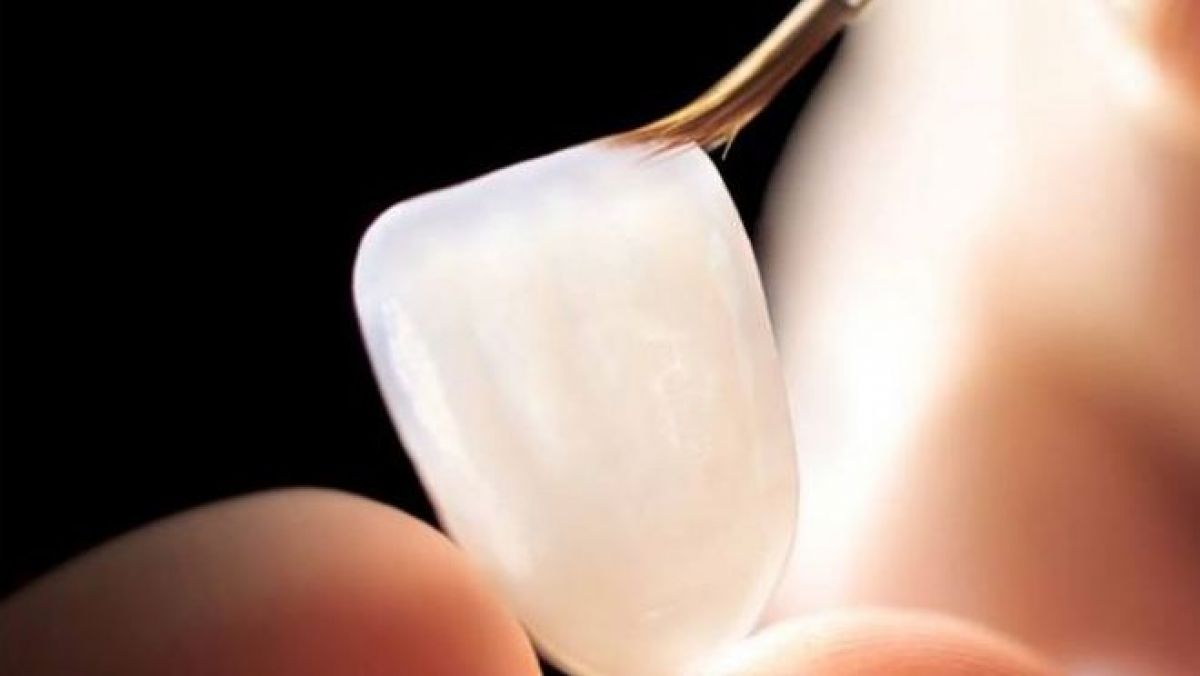 dentalarte